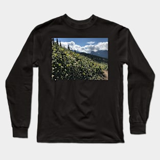 Mountain Flowers and Clouds Long Sleeve T-Shirt